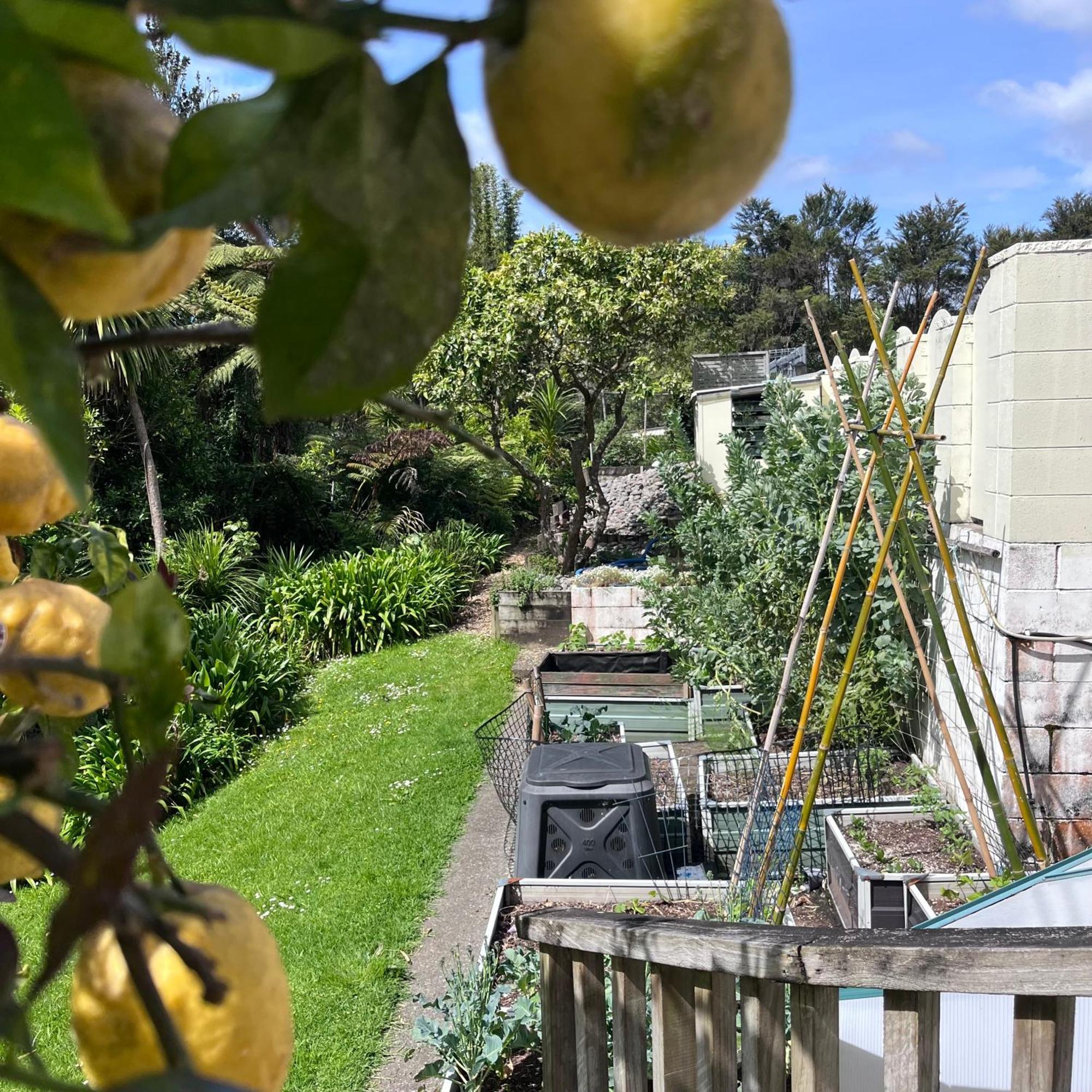 Kitchen Garden * Auckland